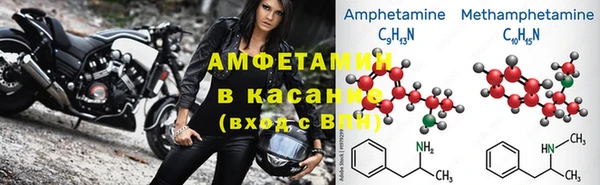 прущие грибы Бородино