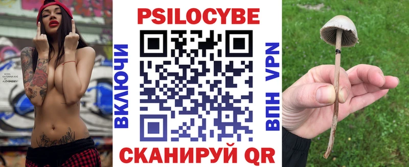 Галлюциногенные грибы Psilocybine cubensis  Новодвинск 